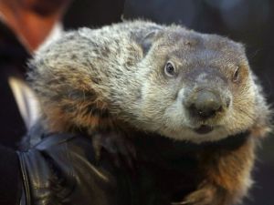 It's always sunny for war ...