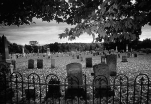 Keep whistling ... (Photobucket; ChuckFitz)