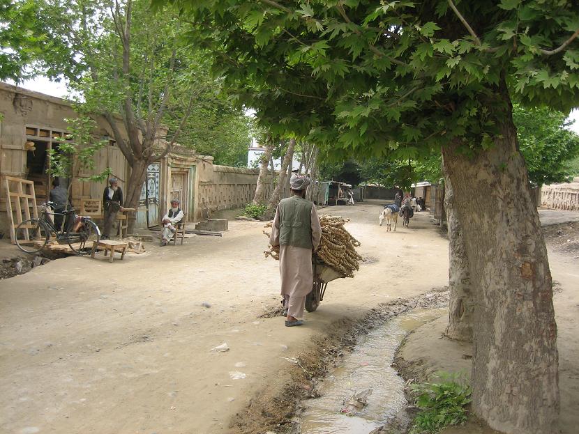 Khanabad 08-04-2008 carpenters