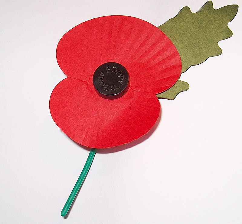 800px-Royal_British_Legion's_Paper_Poppy_-_white_background