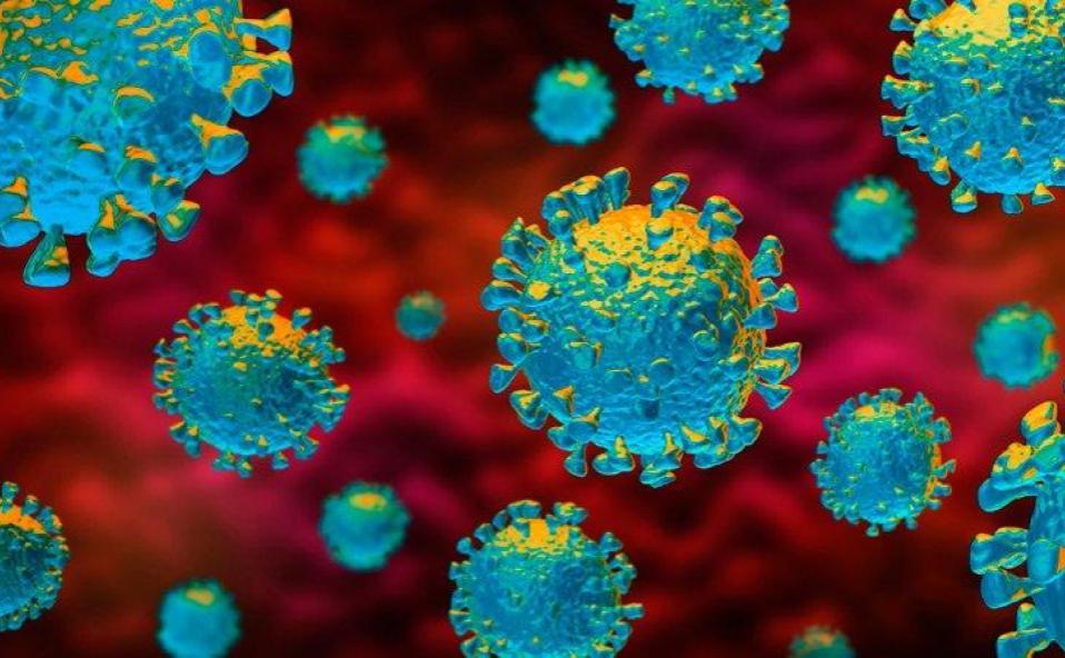 covid-19-featured-image