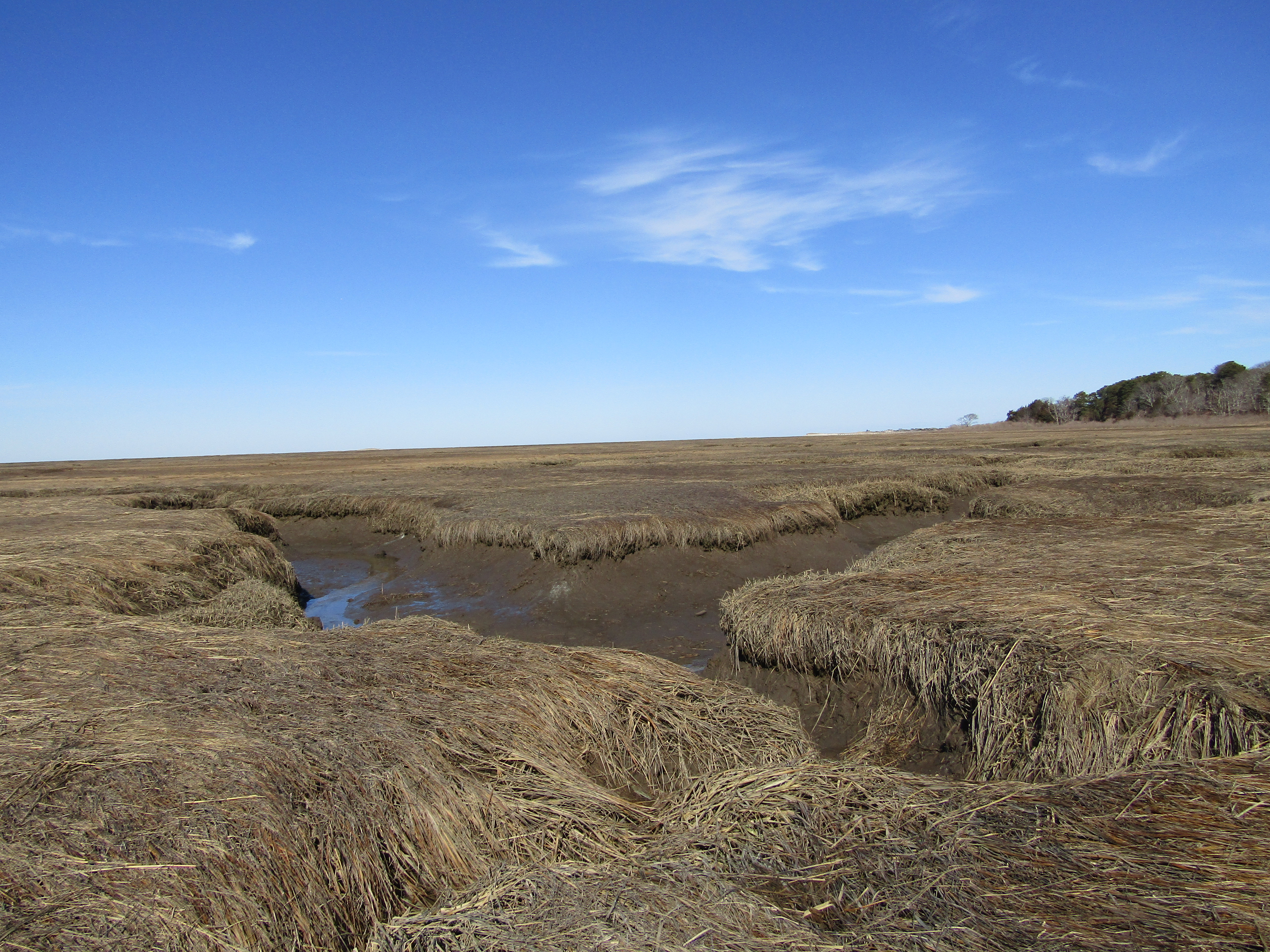 Marsh Rotten The Marsh in Winter – Bracing Views