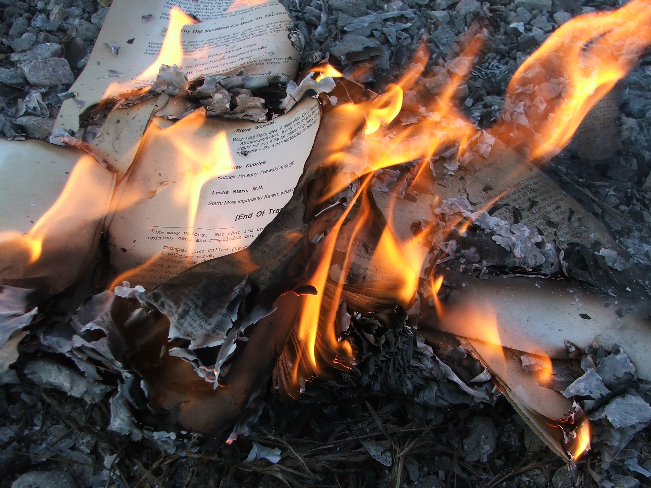 Why Burn Books When You Can Stop Them from Being Published? – Bracing Views